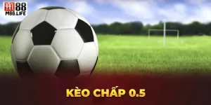 Kèo Tài Nửa Trái Là Gì? Kỹ Thuật Bắt Kèo Ăn Đậm Tại M88