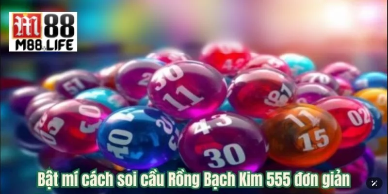 Cần có kiến thức để tham gia soi cầu một cách có hiệu quả.
